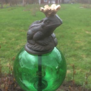 Glaskula med groda